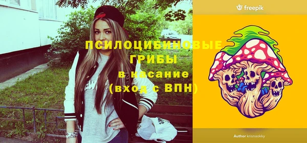 шишки Армянск