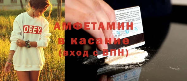 гидра Аркадак