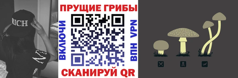 Галлюциногенные грибы ЛСД Судак